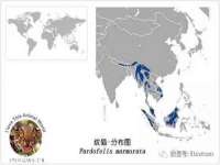 上海申掣网络科技有限公司
