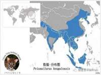 上海申掣网络科技有限公司