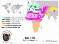 上海申掣网络科技有限公司