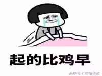 上海申掣网络科技有限公司