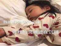 上海申掣网络科技有限公司