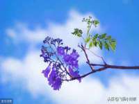 上海申掣网络科技有限公司