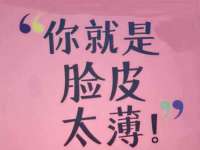 上海申掣网络科技有限公司