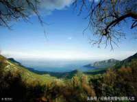 上海申掣网络科技有限公司
