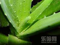 上海申掣网络科技有限公司