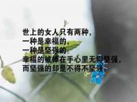 上海申掣网络科技有限公司