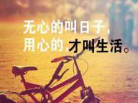 上海申掣网络科技有限公司