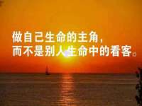 上海申掣网络科技有限公司
