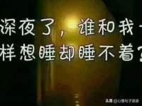上海申掣网络科技有限公司