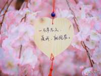 上海申掣网络科技有限公司