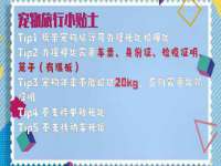 上海申掣网络科技有限公司