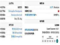 上海申掣网络科技有限公司