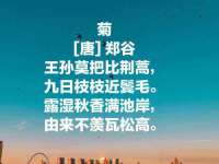 上海申掣网络科技有限公司
