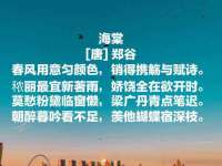 上海申掣网络科技有限公司