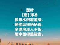 上海申掣网络科技有限公司