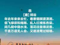上海申掣网络科技有限公司