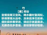上海申掣网络科技有限公司