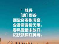 上海申掣网络科技有限公司