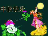 上海申掣网络科技有限公司
