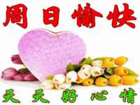 上海申掣网络科技有限公司