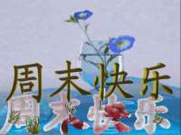 上海申掣网络科技有限公司
