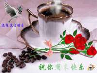 上海申掣网络科技有限公司