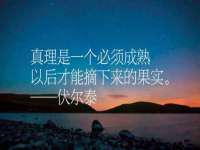 上海申掣网络科技有限公司