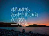 上海申掣网络科技有限公司
