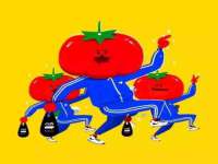 上海申掣网络科技有限公司