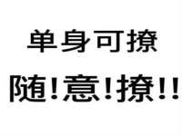 上海申掣网络科技有限公司