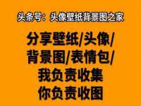 上海申掣网络科技有限公司