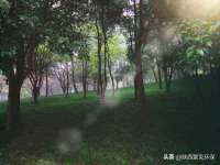 上海申掣网络科技有限公司