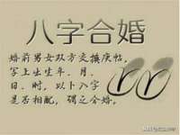 上海申掣网络科技有限公司
