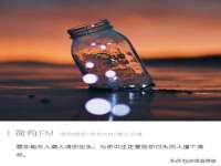 上海申掣网络科技有限公司