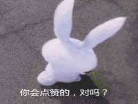 上海申掣网络科技有限公司