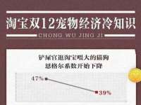 上海申掣网络科技有限公司