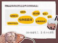 上海申掣网络科技有限公司