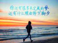 上海申掣网络科技有限公司