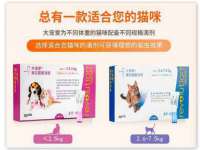 上海申掣网络科技有限公司