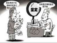 上海申掣网络科技有限公司