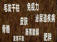上海申掣网络科技有限公司