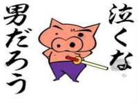 上海申掣网络科技有限公司