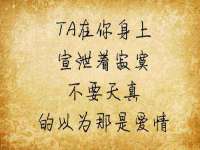 上海申掣网络科技有限公司