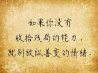 上海申掣网络科技有限公司