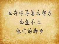 上海申掣网络科技有限公司