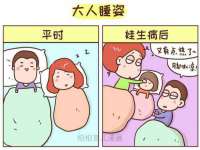 上海申掣网络科技有限公司