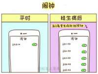 上海申掣网络科技有限公司