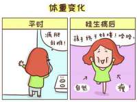 上海申掣网络科技有限公司