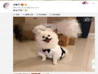 上海申掣网络科技有限公司