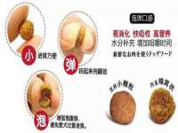 上海申掣网络科技有限公司